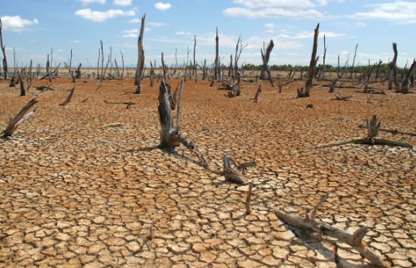 New Material Lifts Technology From Desert Beetle, Harvests Water From Air