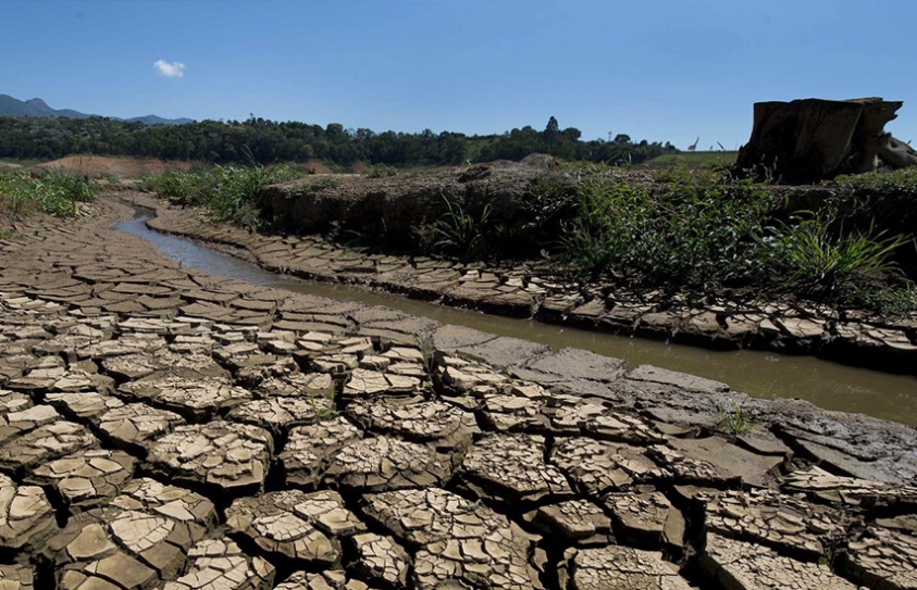 Global Warming Prompts Farmers To Plant Fewer Crops