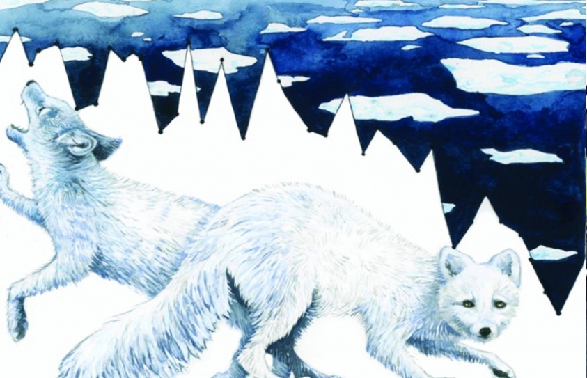 Climate Change Data Becomes Beautiful Nature Illustrations
