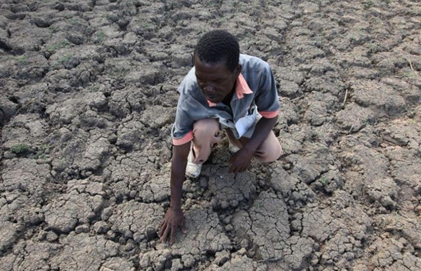 Earth Hour: What Is It And Why Is It So Important?