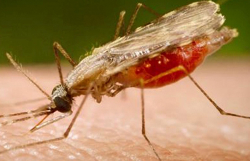 Communicable Diseases Rise 32 Perccent In 5 Years, Spending Up 7 Percent