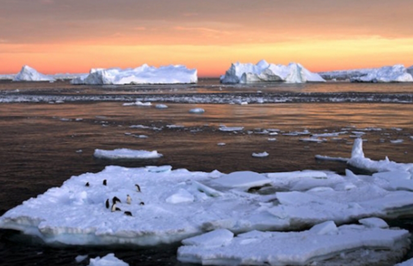 Attention Must Be Paid (Not To Climate Change)