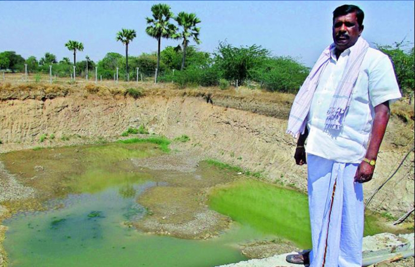 Warangal: Farmer Grows Rice With Waste Water From House
