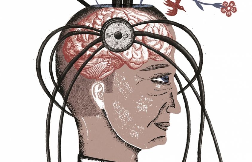 Neuroscientists Hack The Brain's Circuitry For Winning And Losing