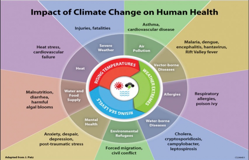 The Impact Of Climate Change On Human Health