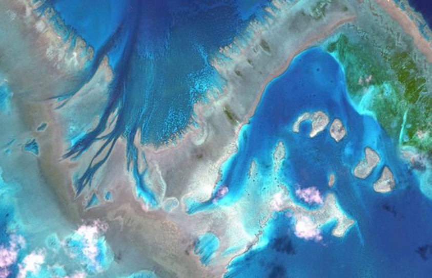 Australia Is Letting The Great Barrier Reef Die Over A Lot Of Coal