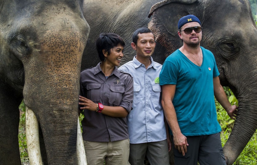 Leonardo Dicaprio Visits Indonesia’s Leuser Ecosystem