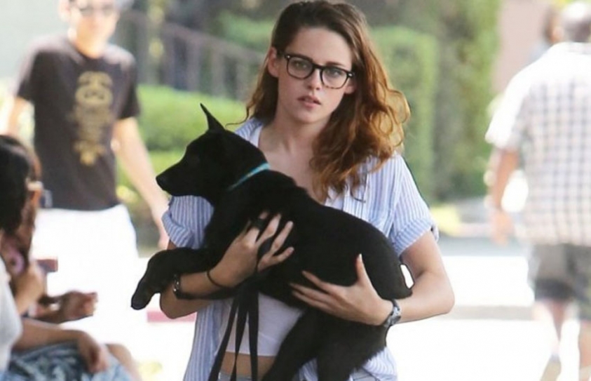 Kristen Stewart Birthday Project To Benefit Lange Foundation Animal Rescue