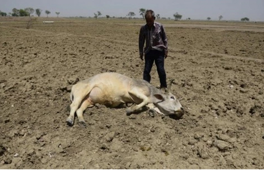 Brutal Heat Wave In India Puts 330 Million To Risk