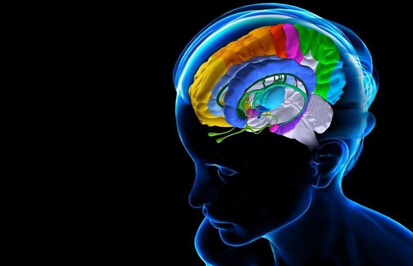 Scientists Think Intelligent Life Could Have Evolved Before Brains
