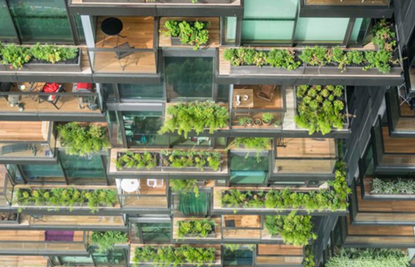 Pact  Cities That Steal Smart Ideas From Animals & Plants