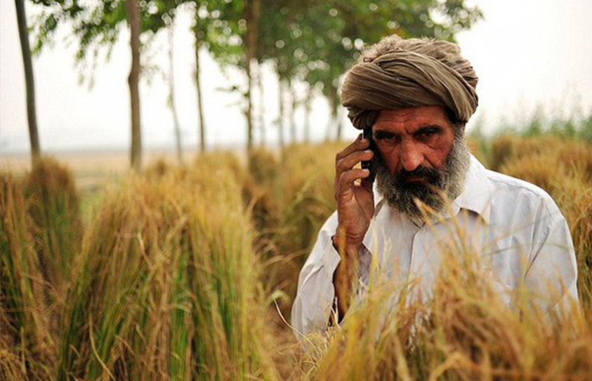 Exploiting Asia's Biodiversity Can Ensure Food Security, End Hunger