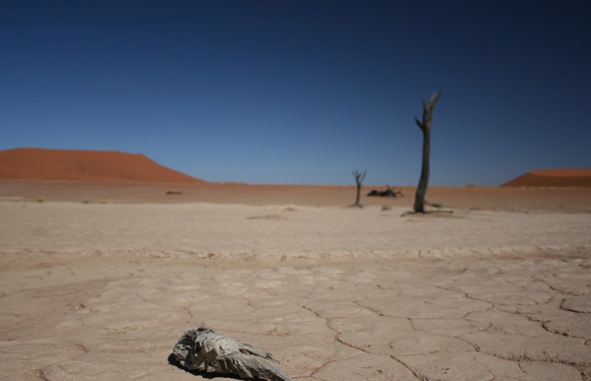 Humans Care More About Climate Change if They Know They're Responsible