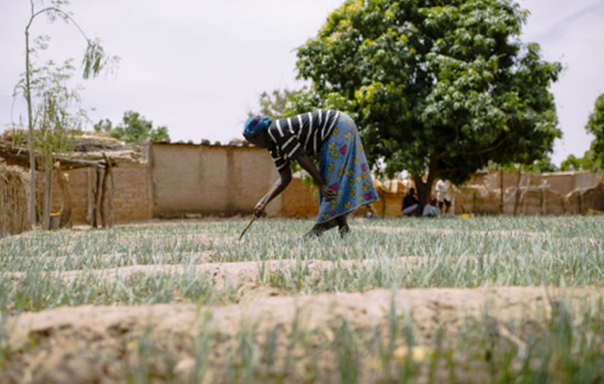 Land Rights For Women On Paper And In Practice.