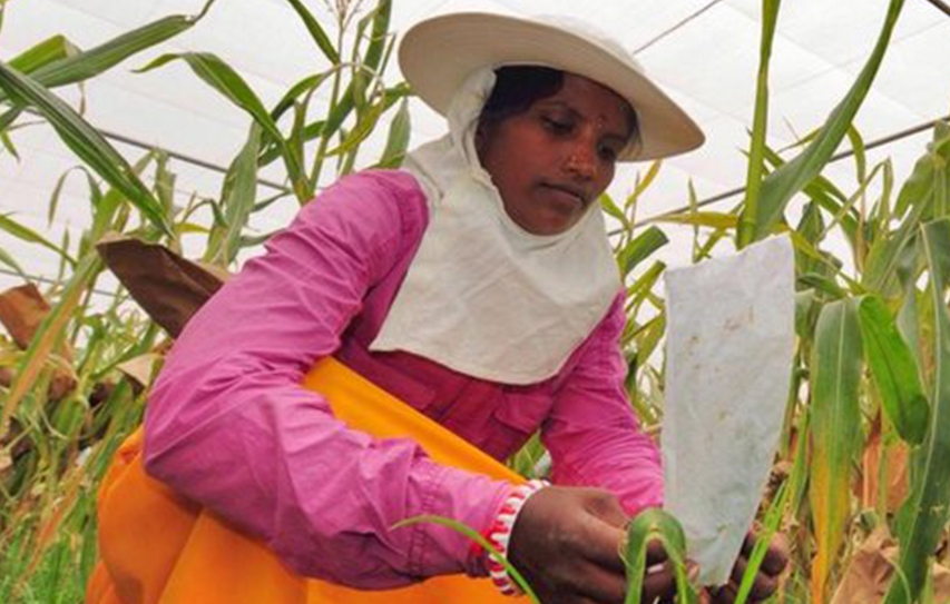 Bayer's Takeover Of Monsanto Would Create The World's Largest Agricultural Supplier
