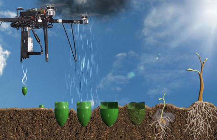 Ex-NasaMan To Plant One Billion Trees A Year Using Drones