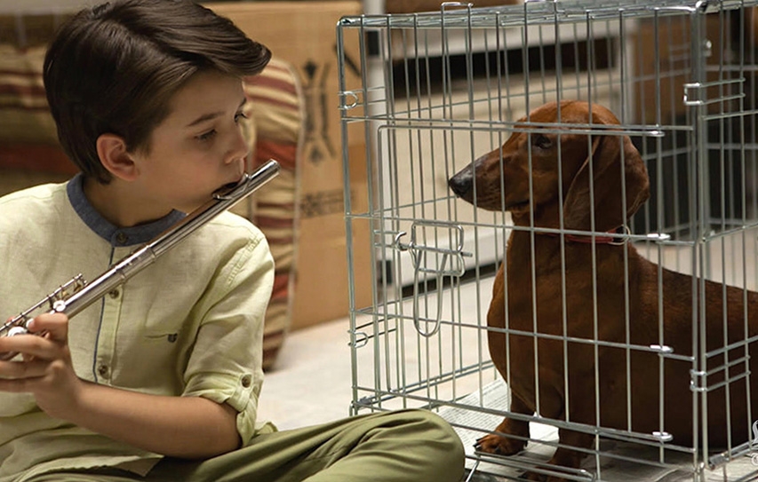 L.A.'s First-Ever Dog Film Festival Is Coming in June