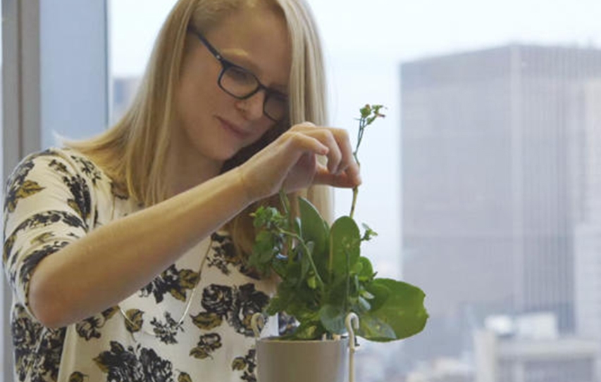 Plants Know When They’re Being Touched
