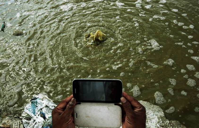 Syrian   Value Of Eco Crimes Soars By 26% With Devastating Impacts On Natural World