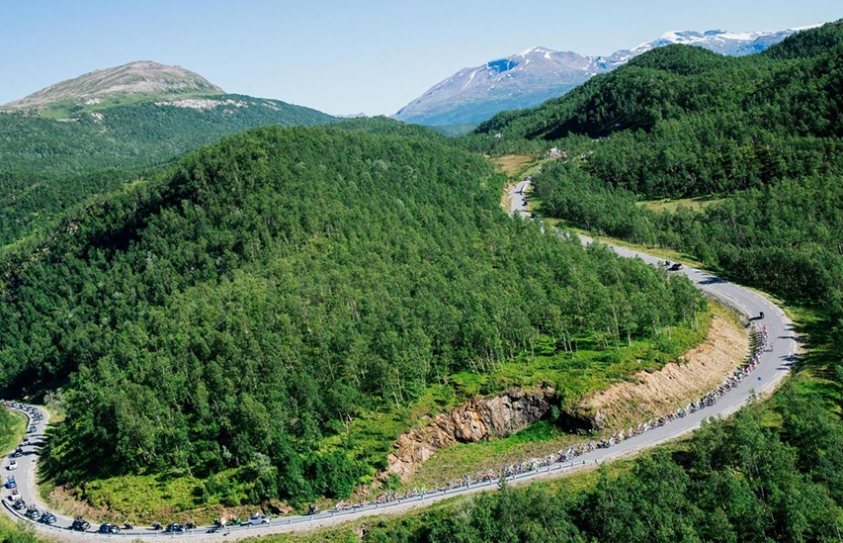 Norway Becomes First Country In The World To Commit To Zero Deforestation