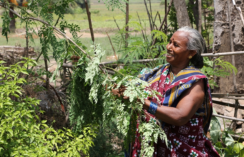 How Rural Women Are Challenging Gender-Based Exclusion From Land Ownership In India