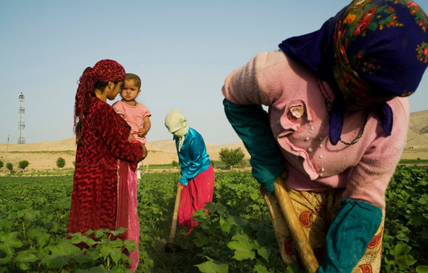 The World Bank Should Champion Human Rights
