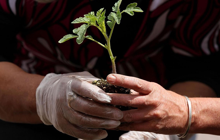 How Can We Make Brexit Work For The Environment?