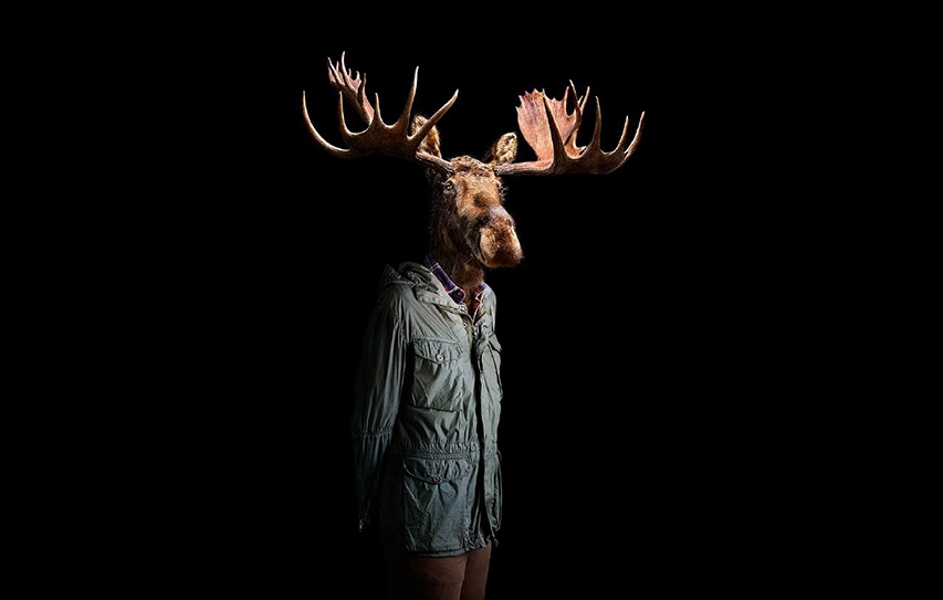 Film Festival To Highlight Animal-Human-Nature Co-Relation