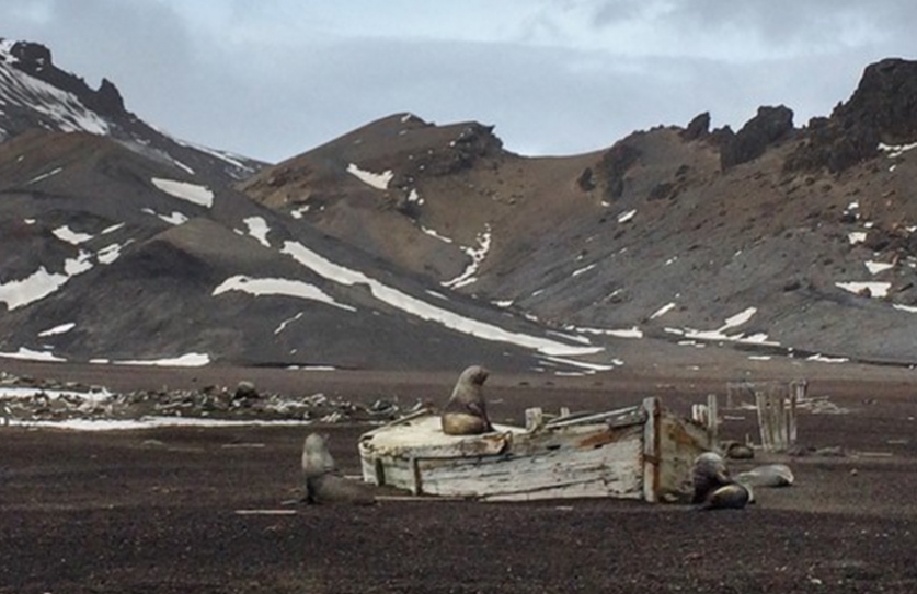 23 Million Year Old Leaves Helped Solve An Antarctic Climate Mystery