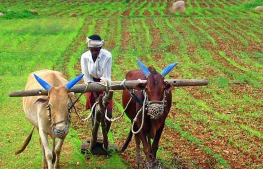 Educated Village Youth Are Turning Paralegals To Help Landless Rural Folk In Telangana