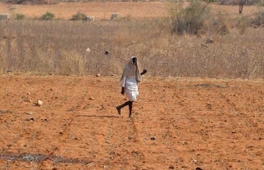 In Telangana, It Takes A Village To Update Tattered Land Records