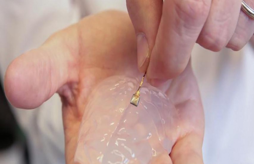 Researchers Use Brain Implant to Make Paralyzed Monkeys Walk