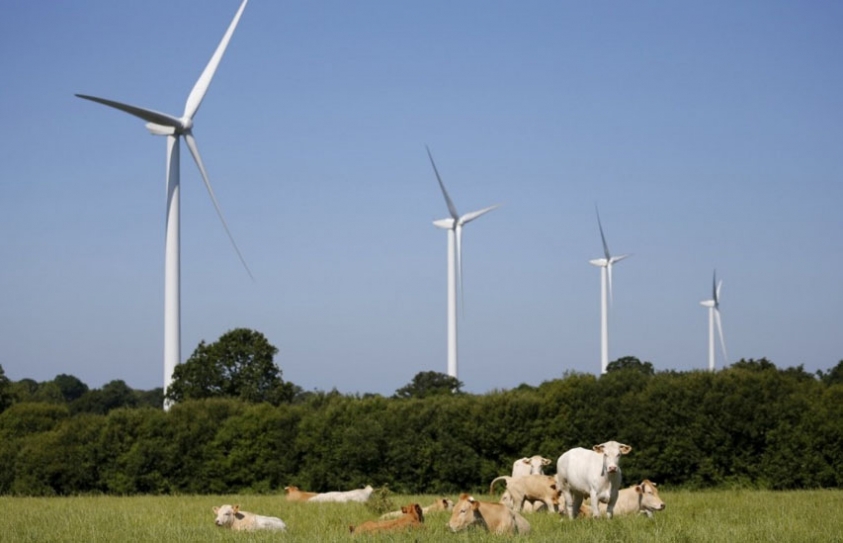 Wind farms might be killing many more bats than we realize