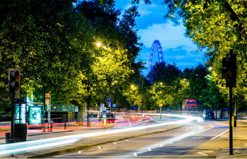 Trees may increase air pollution on city streets