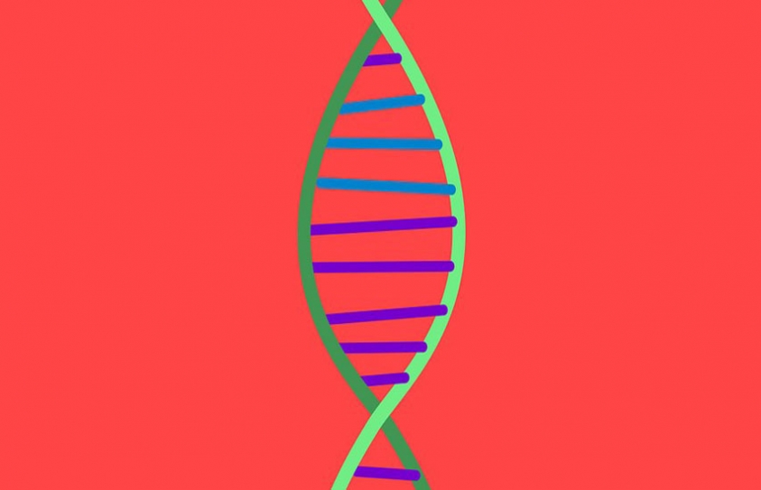 The Hype Around Medical Genetics Could Be Bad for the Public