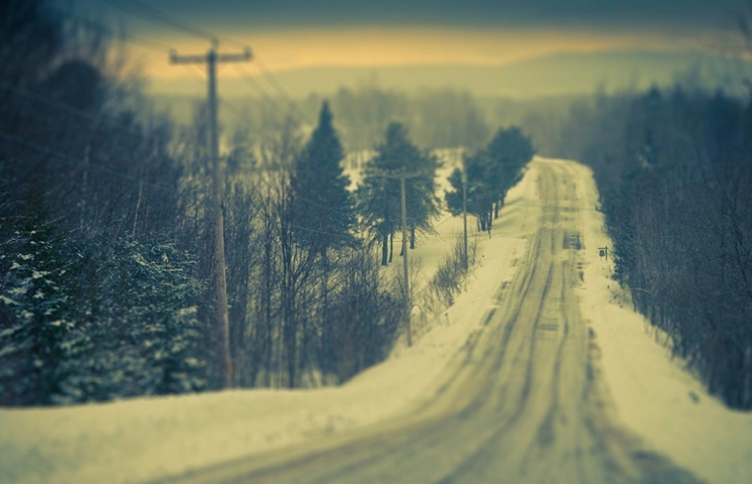New Map Reveals Shattering Effect Of Roads On Nature