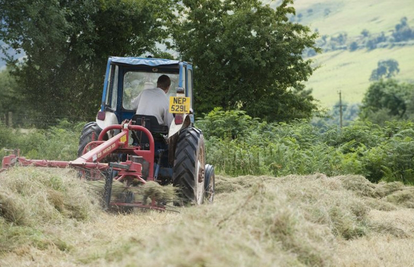 Grass Was Greener But Wildlife Struggled In Muggy 2016