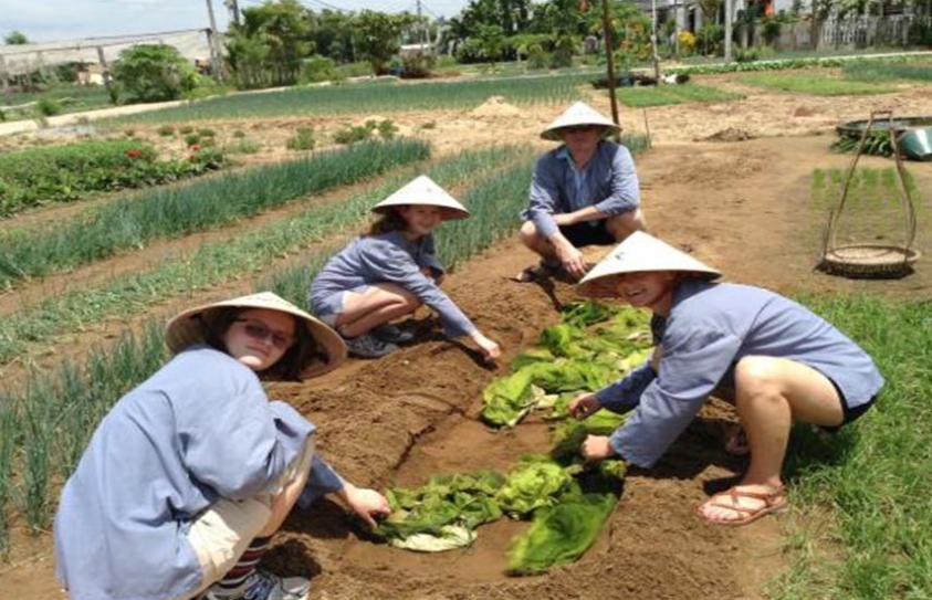 Growing Mega-Cities Will Displace Vast Tracts Of Farmland By 2030, Study Says