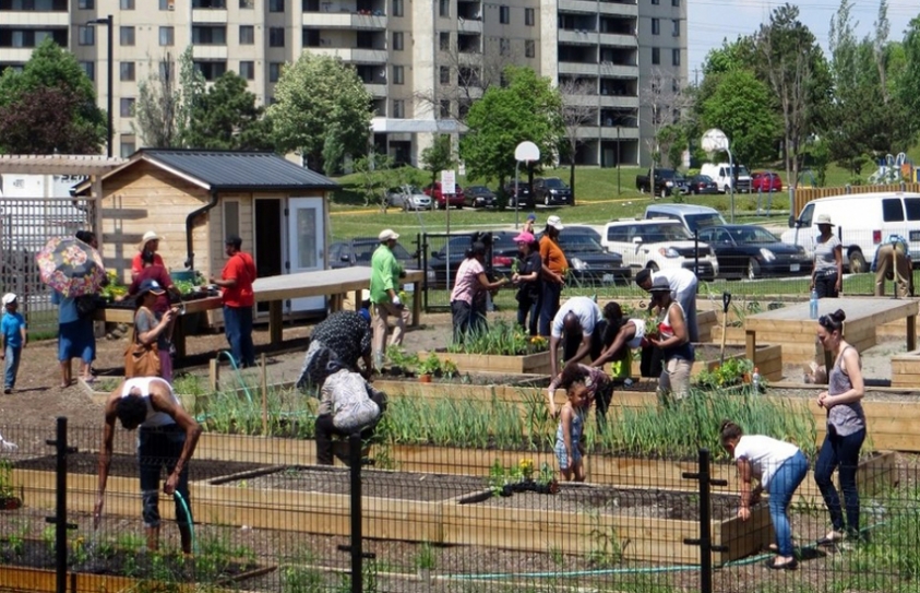 3 Cities Show Ways To Make Local Progress On The Sustainable Development Goals