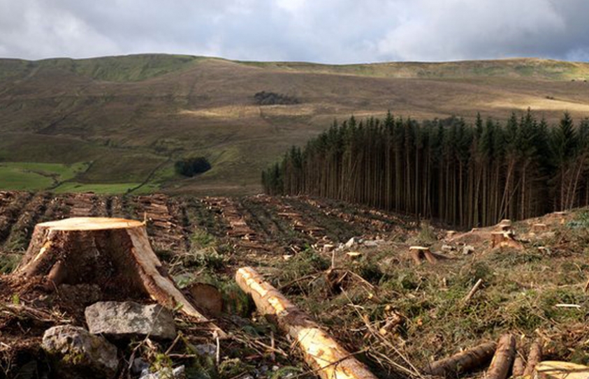 We May Be Closer Than We Thought To Dangerous Climate Thresholds