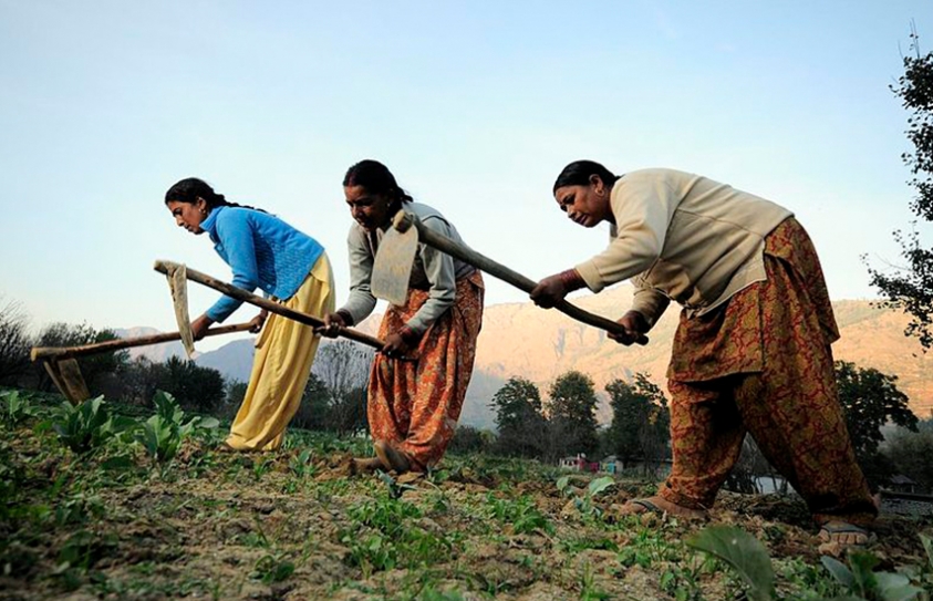 Around The World Women Struggle To Secure Land Rights, Own Less Than Twenty Percent  