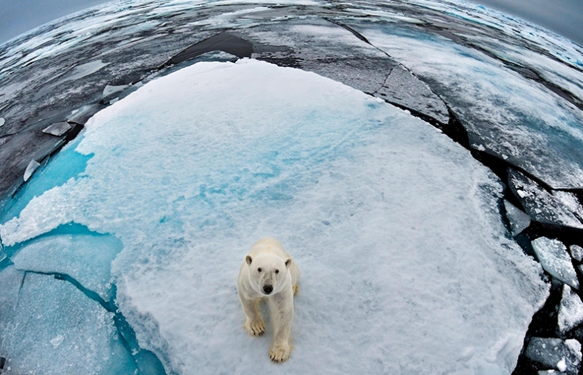 Scientists To Repeat 19th-Century Ship's Crossing Of Polar Ice Cap