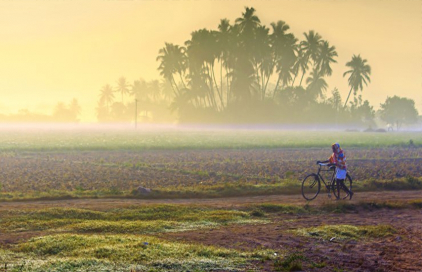 How Mobile Technology Is Transforming Lives In Rural India 