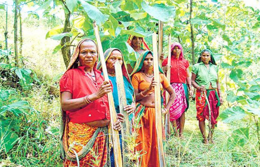 Protecting The Rights Of Tribals 