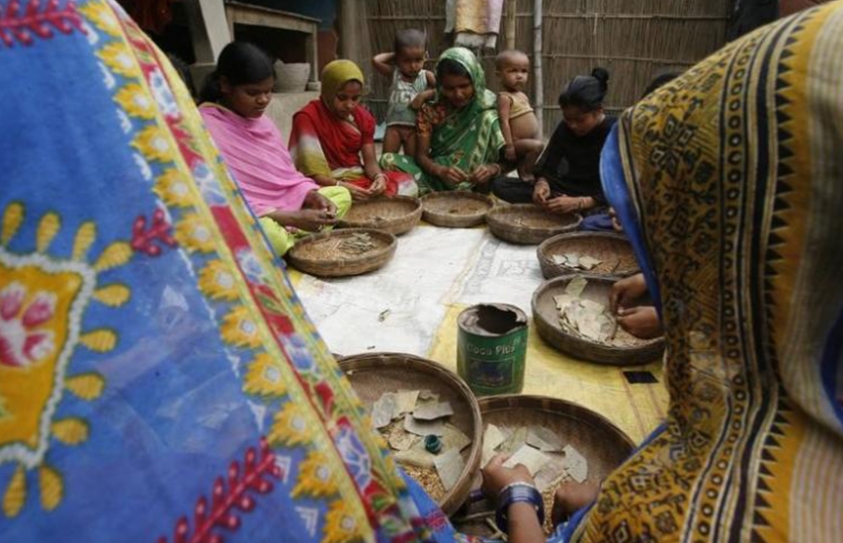 Rights Over Leaves, Flowers Give Indian Tribal Groups More Reason To Stay Put 