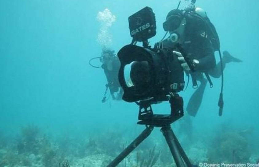 7 Must-See Films At The 2017 Environmental Film Festival