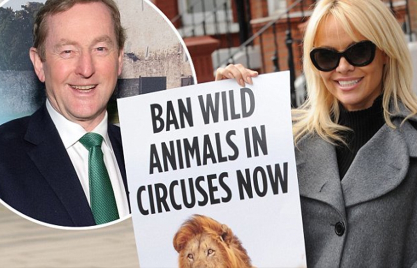 Pamela Anderson Offers To Drink Guinness With Taoiseach When Animal Circuses Are Banned In Ireland 