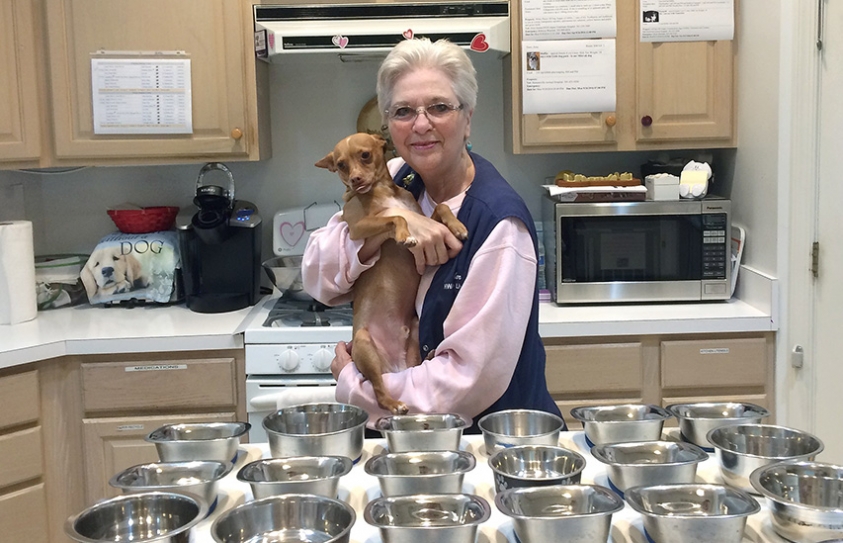  Maryland Woman’s ‘House With a Heart’ Gives Abused Senior Pets a Place to Retire in Love and Comfort 
