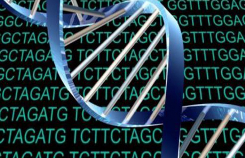 Scientists Hack A Human Cell And Reprogram It Like A Computer 