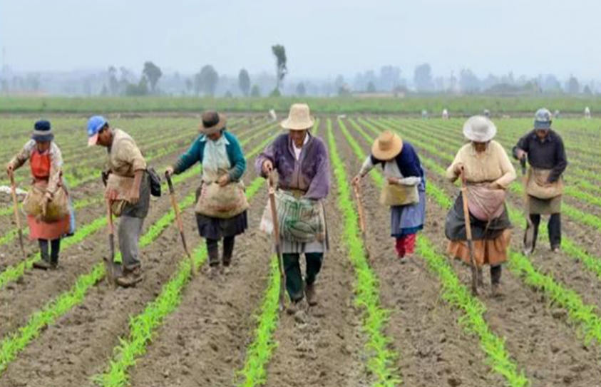 Women, Cities, And Opportunity: Making The Case For Secure Land Rights